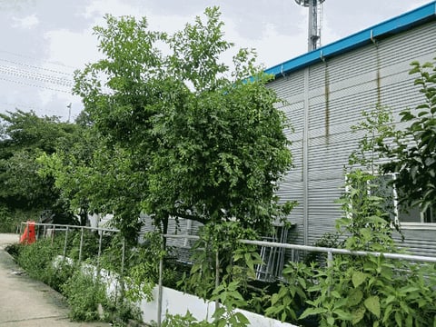 물건 사진 39