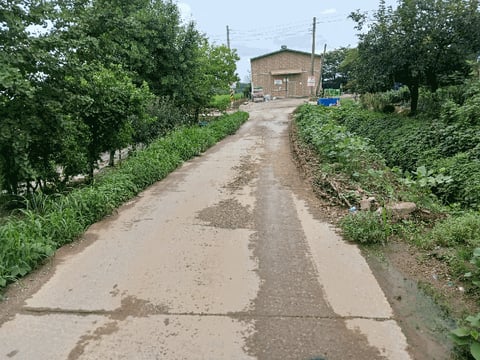 물건 사진 47