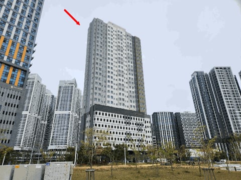 물건 사진 12