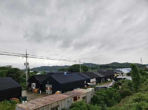 물건 사진 1